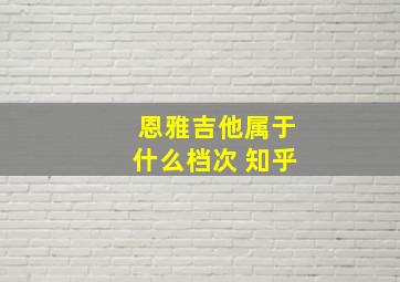 恩雅吉他属于什么档次 知乎